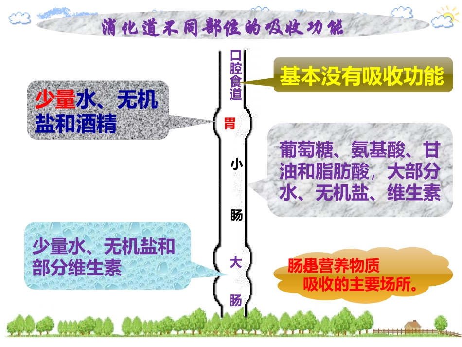 第三节营养物质的吸收和利用_第3页