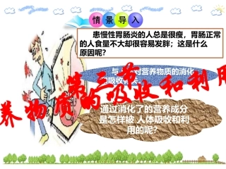 第三节营养物质的吸收和利用