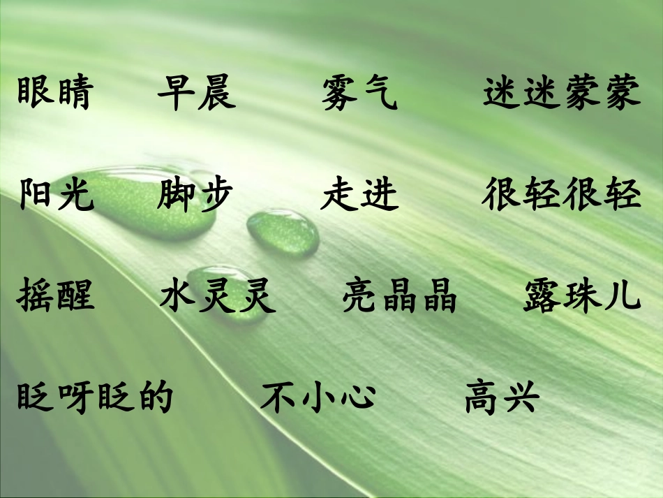 3叶子的眼睛_第2页