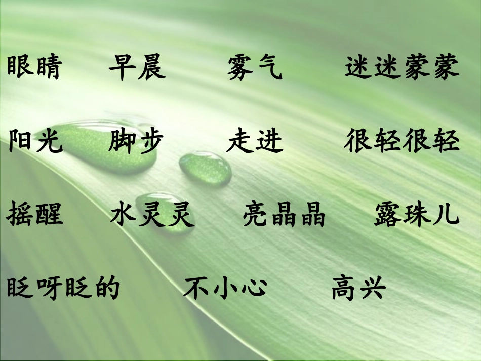 3叶子的眼睛_第3页