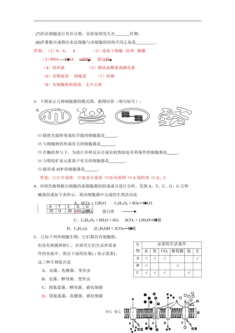 高中生物：第四章-《细胞与细胞工程》单元测试(旧人教版选修)_第2页