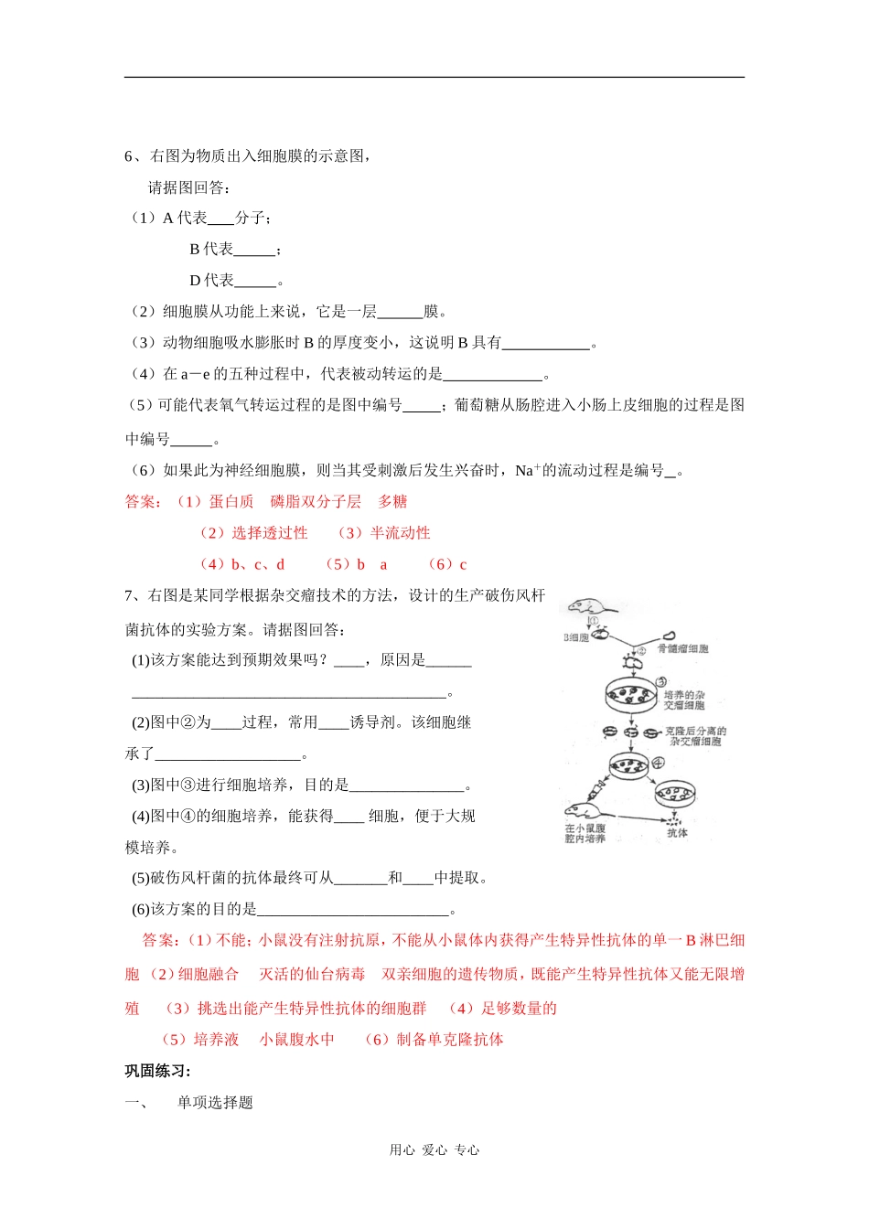 高中生物：第四章-《细胞与细胞工程》单元测试(旧人教版选修)_第3页