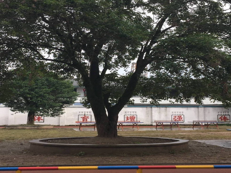 小学数学人教2011课标版三年级《认识四边形》_第3页