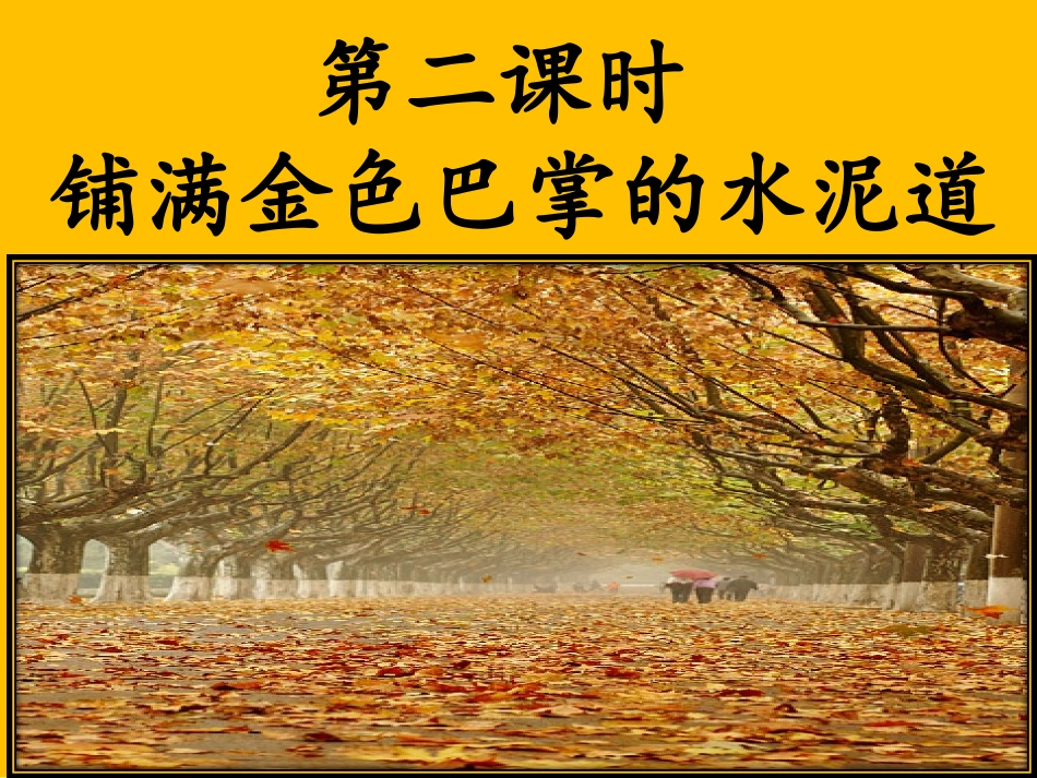 5铺满金色巴掌的水泥道_第1页
