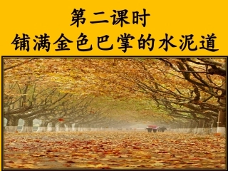 5铺满金色巴掌的水泥道
