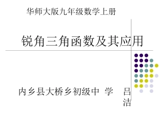 锐角三角函数-(2)