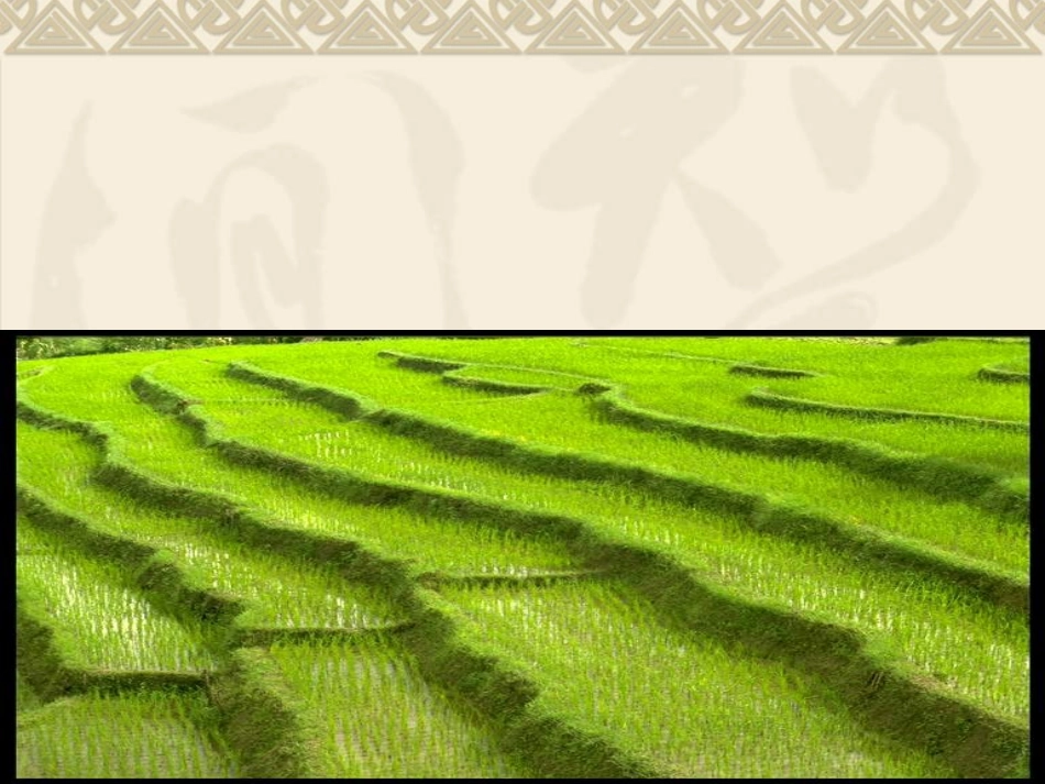 世界主要农业地域类型_第3页