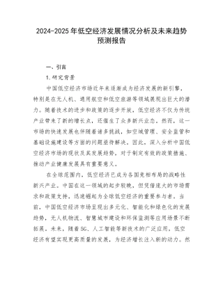 2024-2025年低空经济发展情况分析及未来趋势预测报告