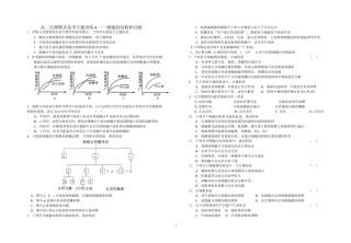 期末考前练习细胞的结构及功能