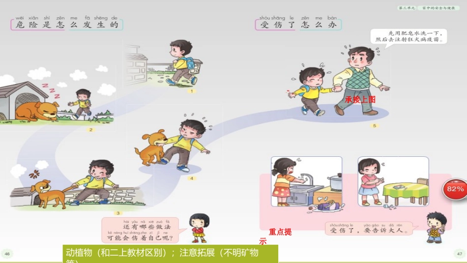 【PPT】“别伤着自己”关键点分析_第3页