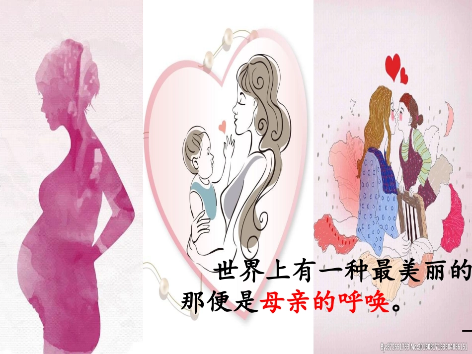 语文S版四年级下册20-母亲的呼唤_第3页
