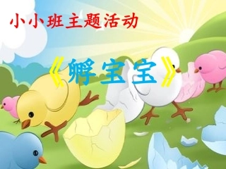 孵宝宝幻灯片