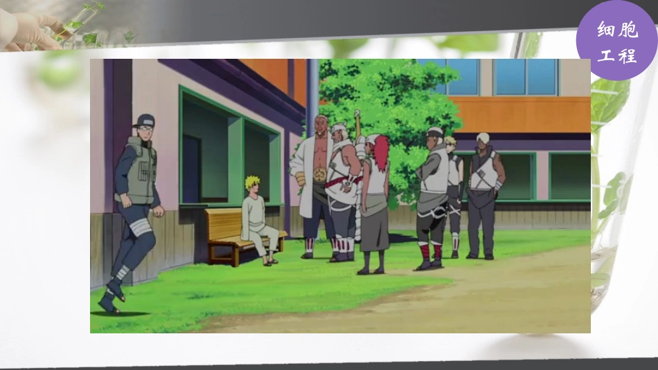 6.动物细胞培养_第2页