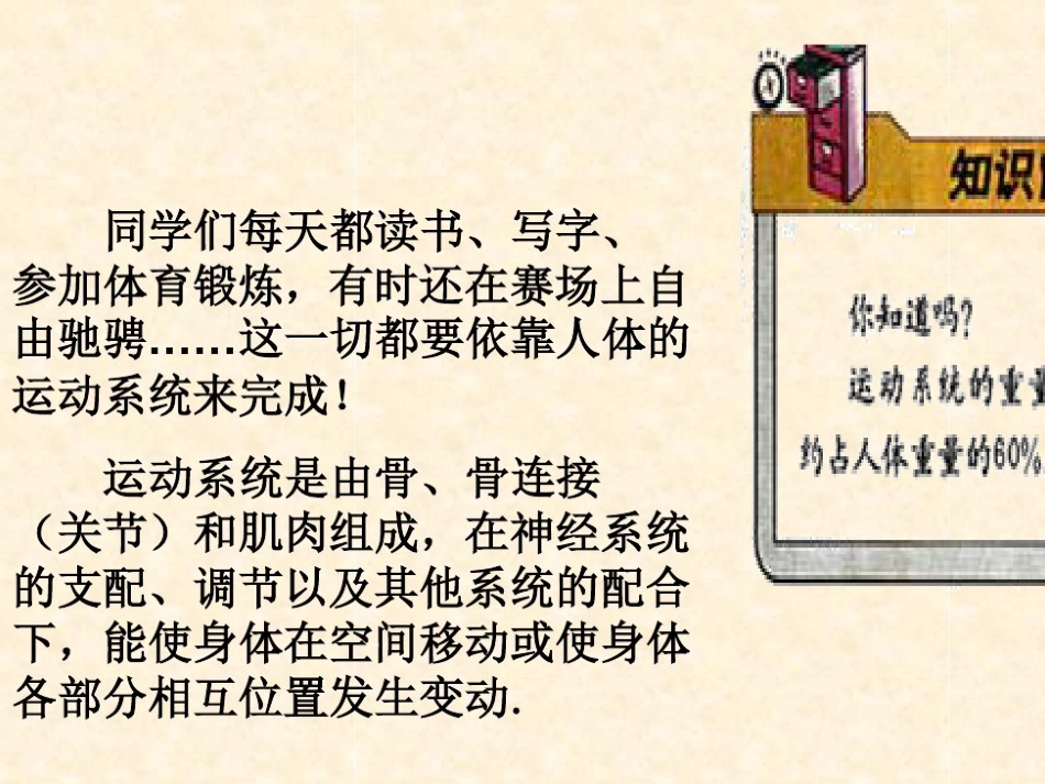 1.人体与运动_第2页