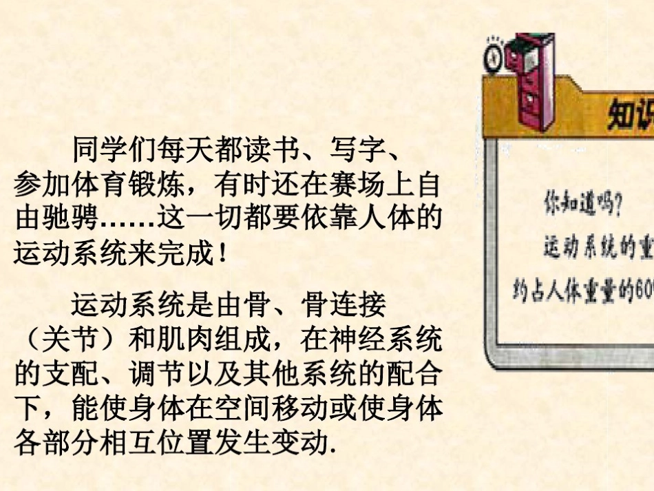 1.人体与运动_第3页