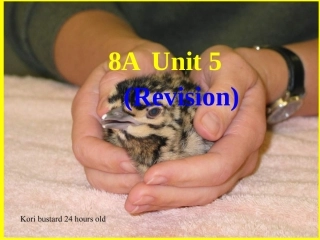 U5Revision