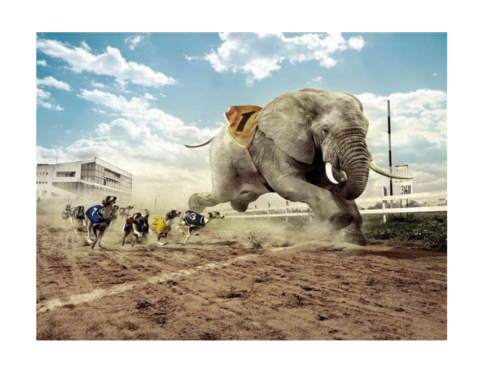 第二节---运动的形成(第一课时)_第2页