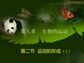 第二节---运动的形成(第一课时)
