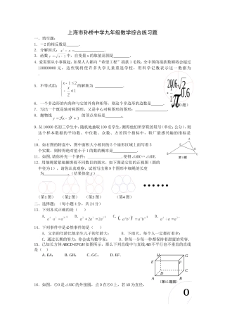 上海市孙桥中学数学综合卷