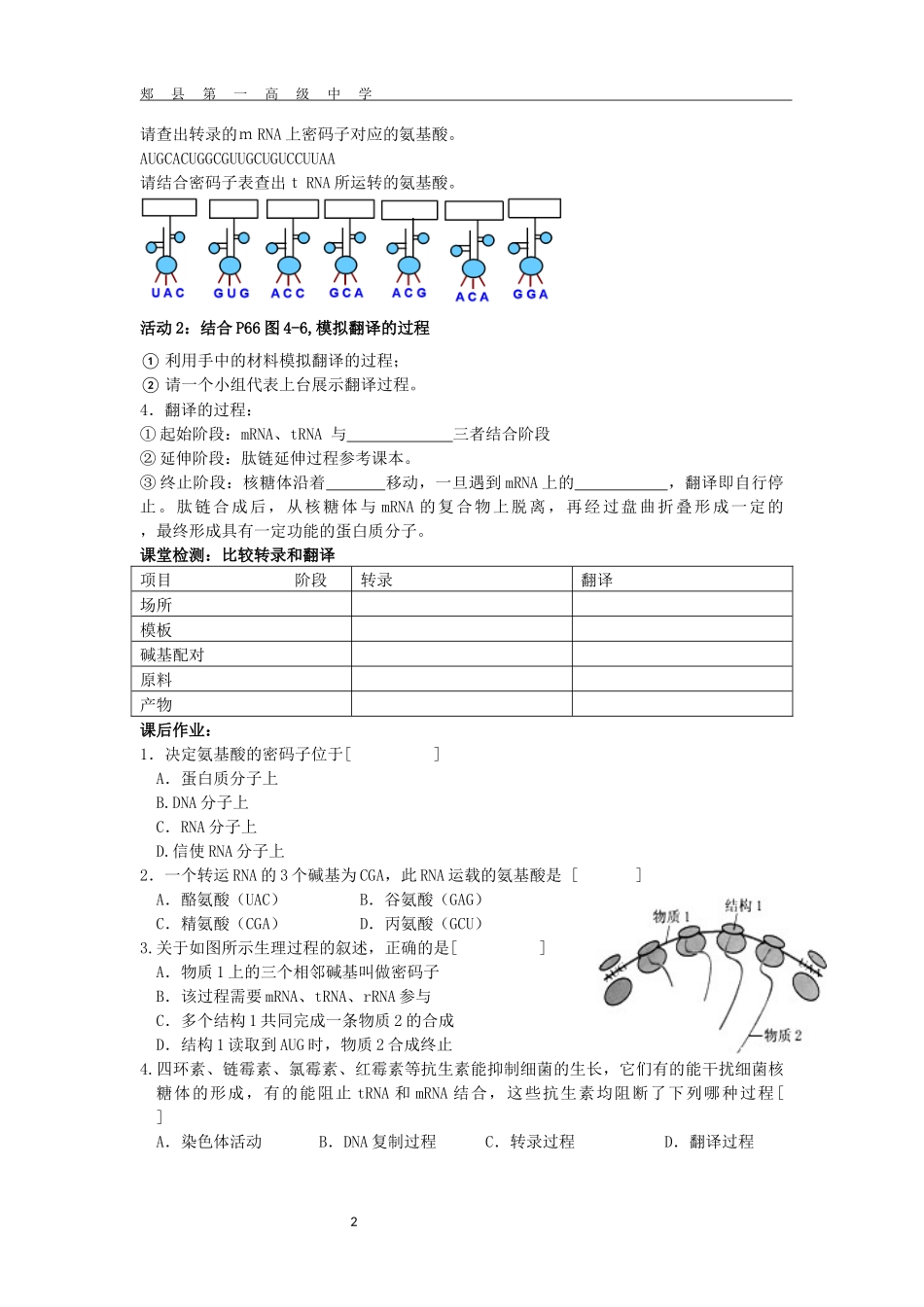 一基因控制蛋白质的合成_第2页