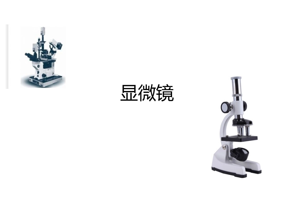 科学·技术·社会-人类探索微观世界不可缺少的工具——显微镜_第1页