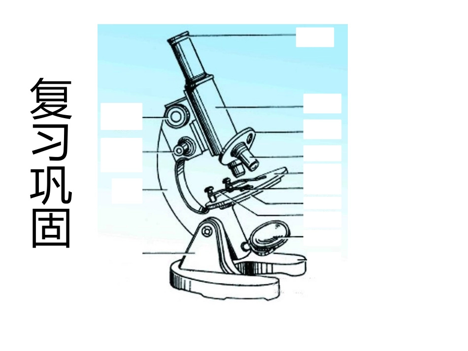 科学·技术·社会-人类探索微观世界不可缺少的工具——显微镜_第2页