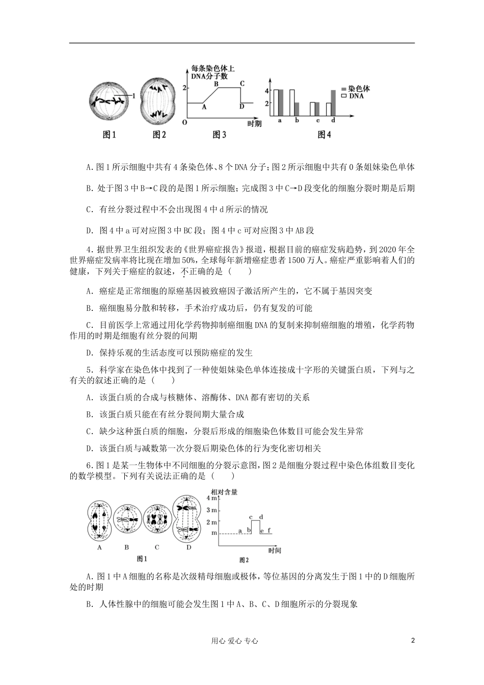 2012届高考生物二轮复习-专题四-细胞的生命历程-专题测评_第2页