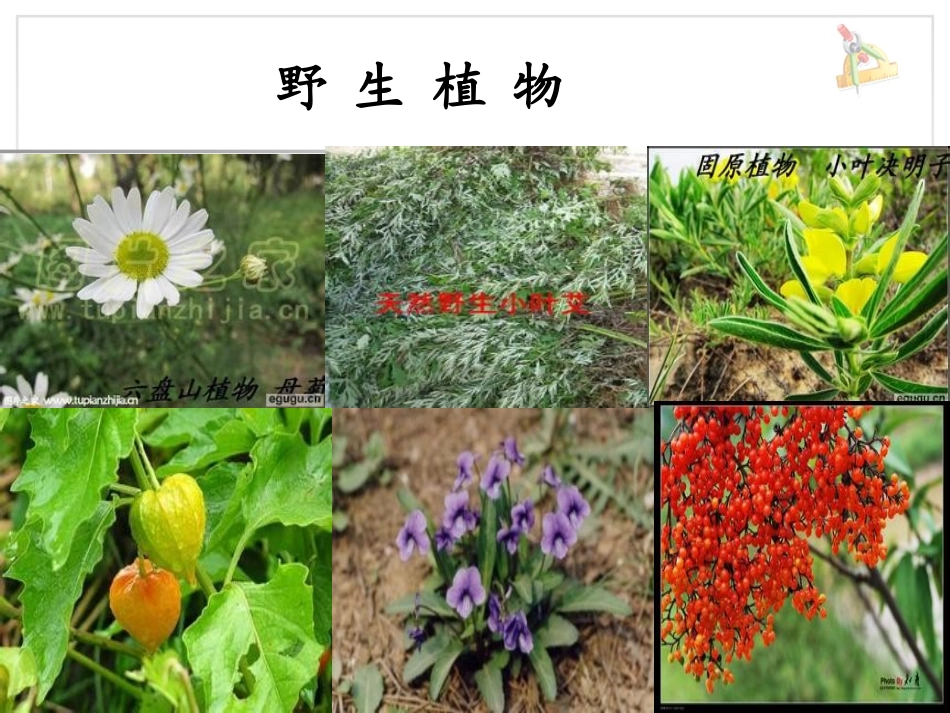 小学数学人教2011课标版三年级三位数的不连续进位加法_第3页