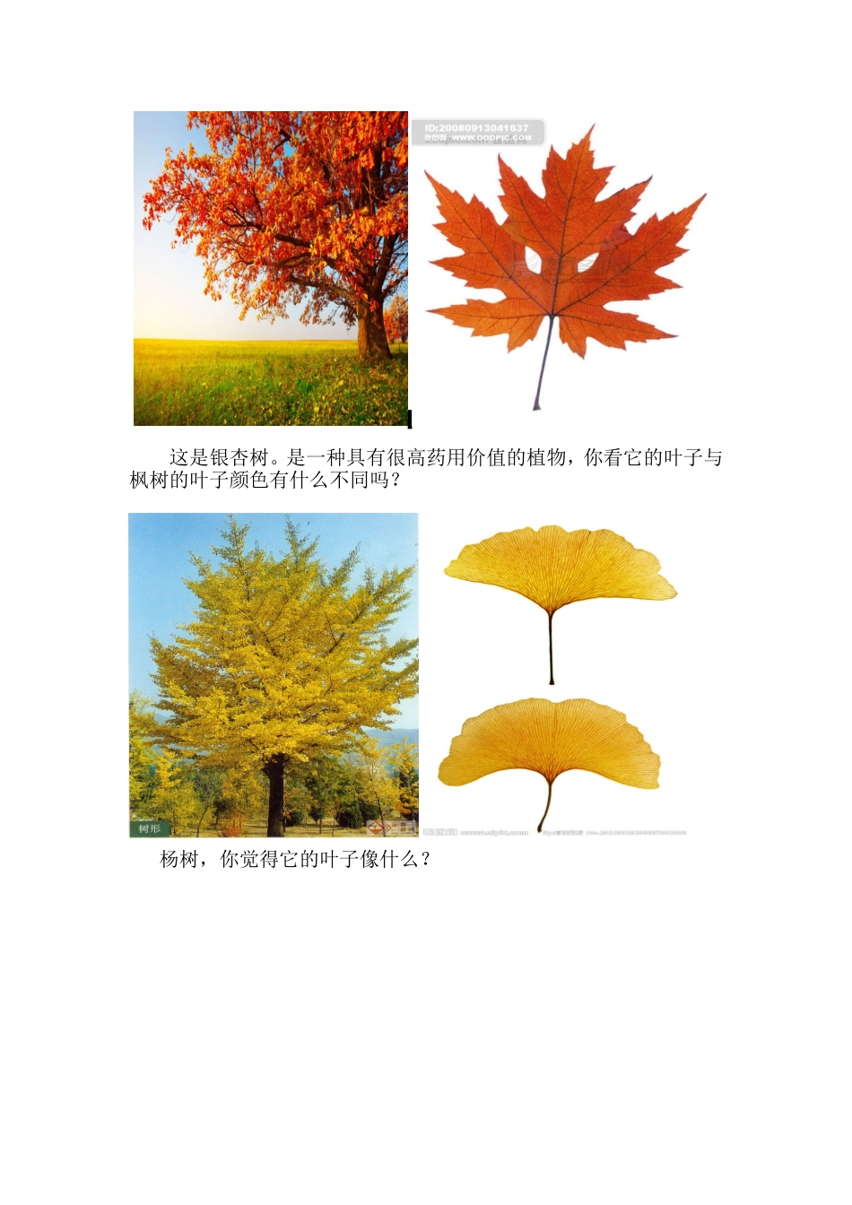 姜晶秋天教案三研_第2页