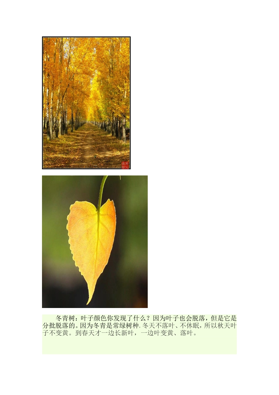 姜晶秋天教案三研_第3页