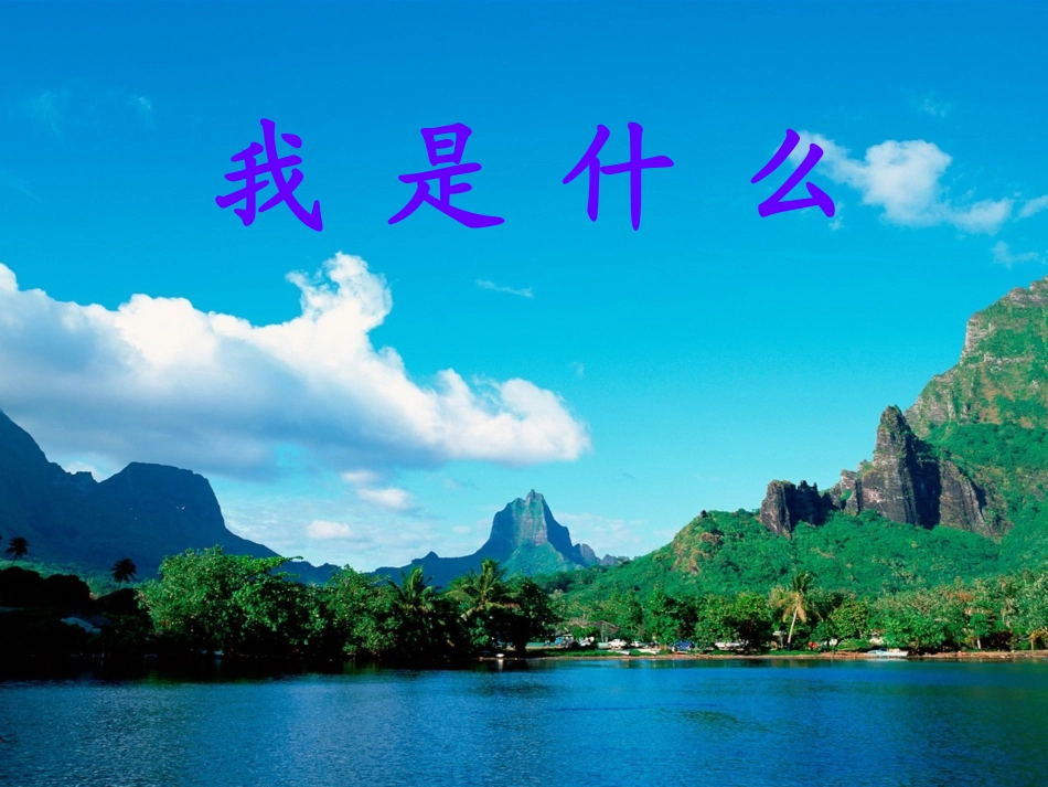 《我是什么》课件_第2页