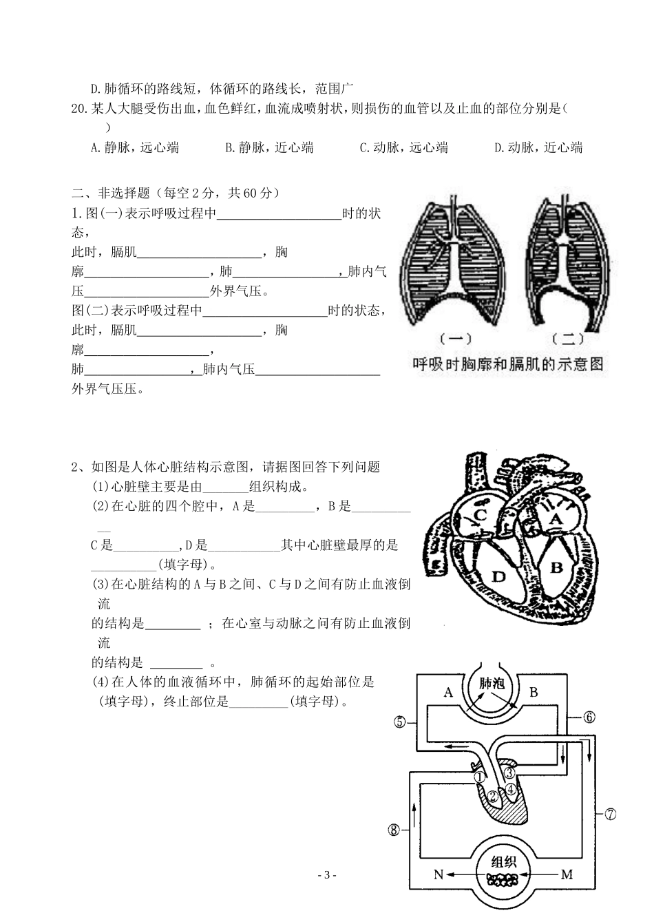 2017初一下生物期中_第3页
