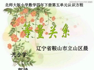 小学数学北师大2011课标版四年级北师大版四年级数学下等量关系