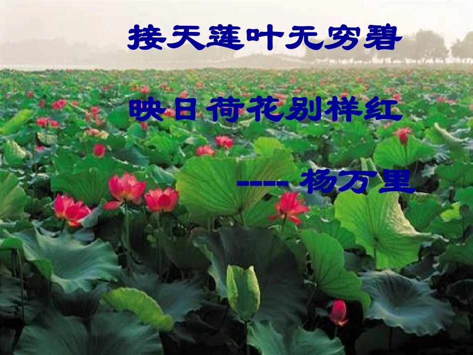 15湖心亭看雪_第3页