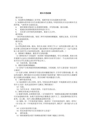 树木中的纹路