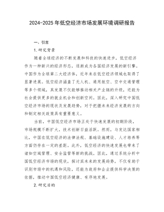 2024-2025年低空经济市场发展环境调研报告