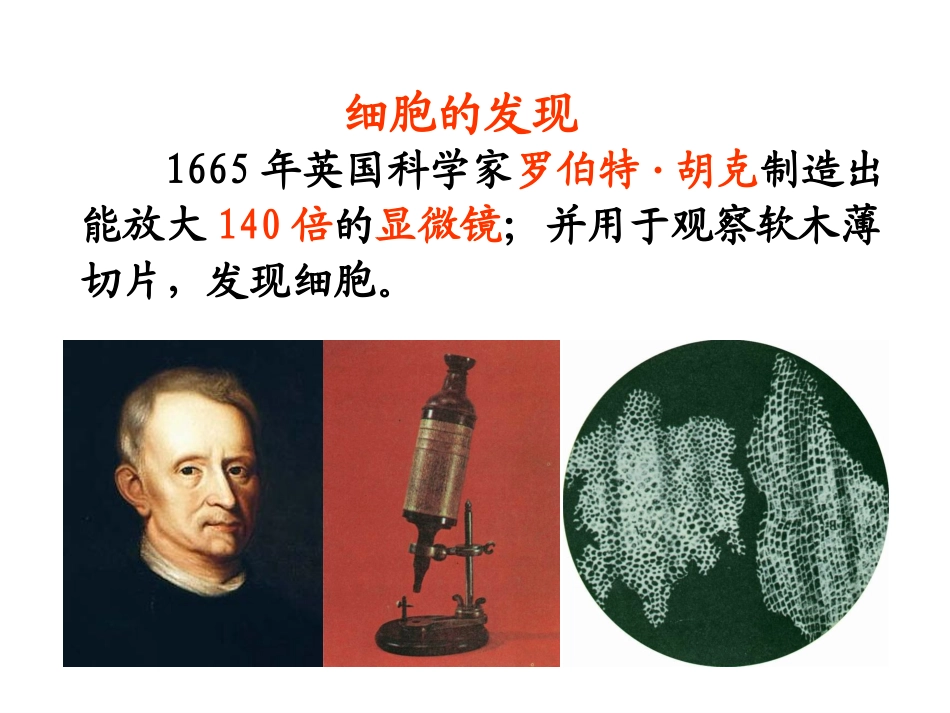 科学·技术·社会-人类探索微观世界不可缺少的工具——显微镜-(3)_第2页