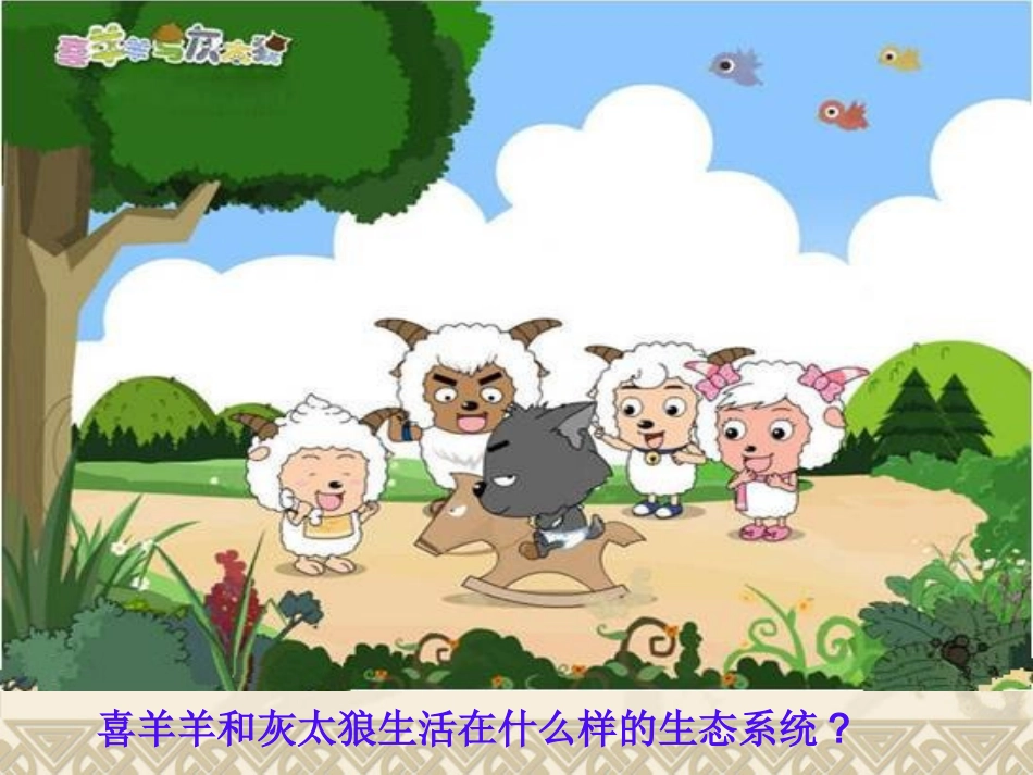 《第3节-生态系统的自我调节》课件1_第2页