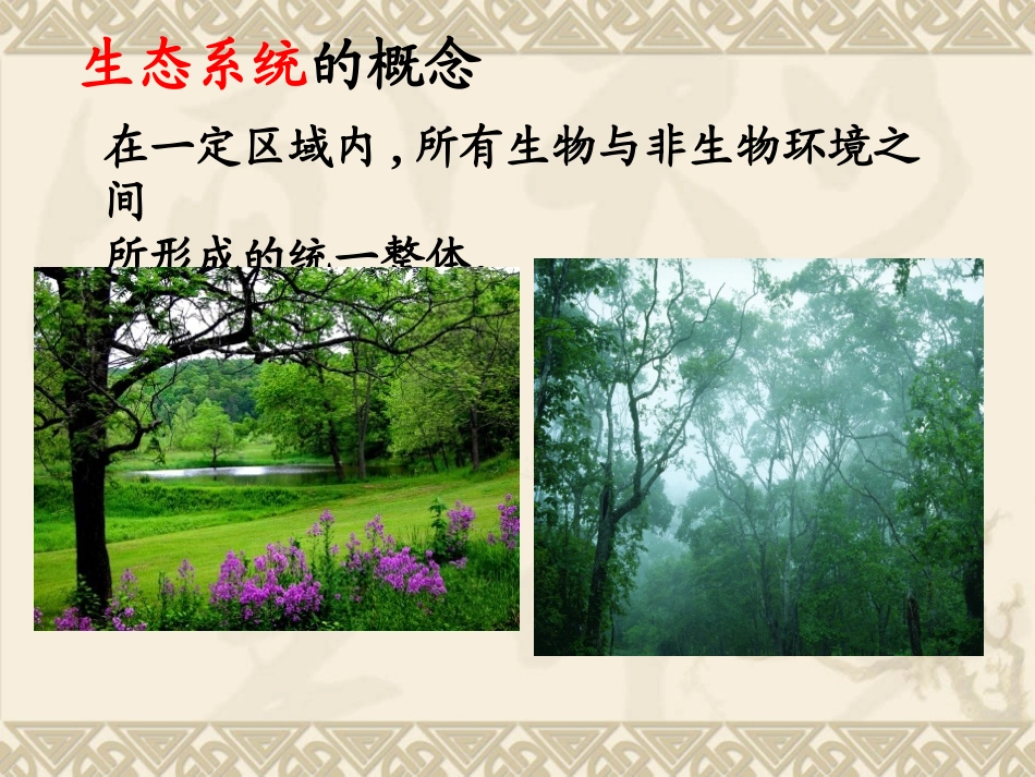 《第3节-生态系统的自我调节》课件1_第3页