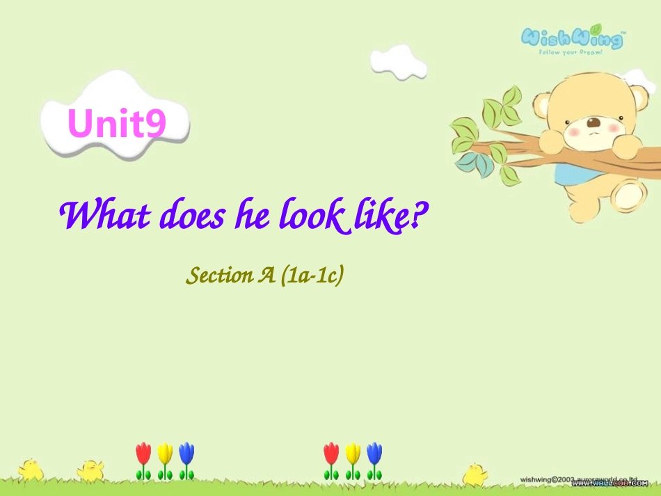 Unit9-What-does-he-look-like-Section-A-(1a-1c)_第1页
