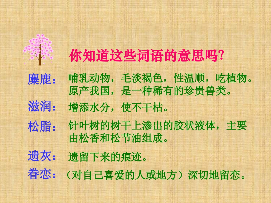 15、这片土地是神圣的课件_第3页