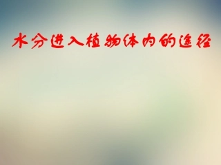 《第一节-水分进入植物体内的途径》课件4