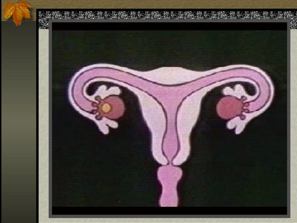 生物的结构层次_第3页