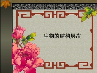 生物的结构层次