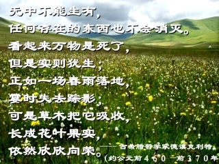 质量守恒定律