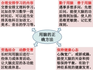 用脑的正确方法
