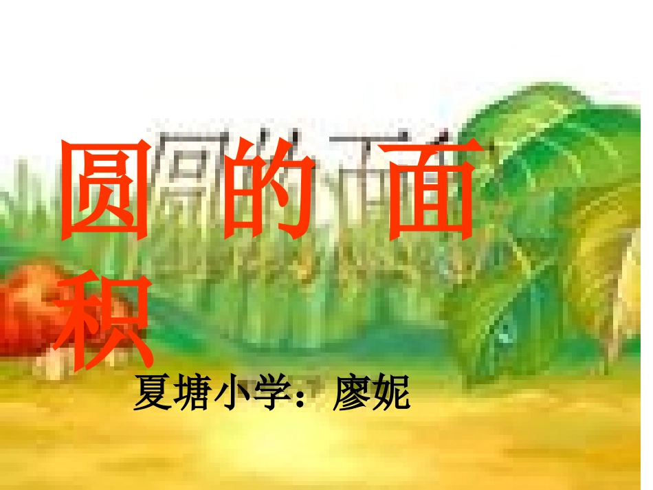 圆的面积P67_第1页