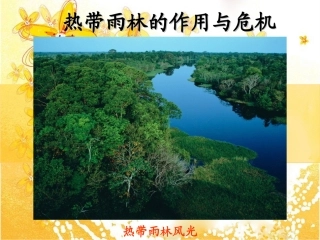 热点雨林的保护