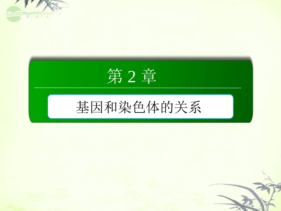 【红对勾】2013届高考生物一轮复习-第一章-减数分裂和受精作用课件-新人教版必修2_第2页