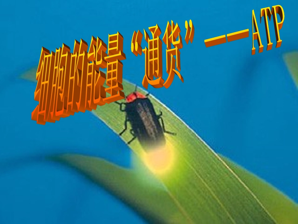 第一节细胞中的能源物质_第1页